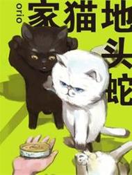 家猫地头蛇韩国漫画漫免费观看免费