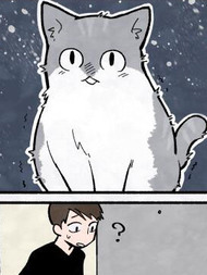 猫的报恩3d漫画
