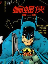 蝙蝠侠：第二年漫漫漫画免费版在线阅读