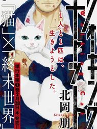 Walking cat的小说